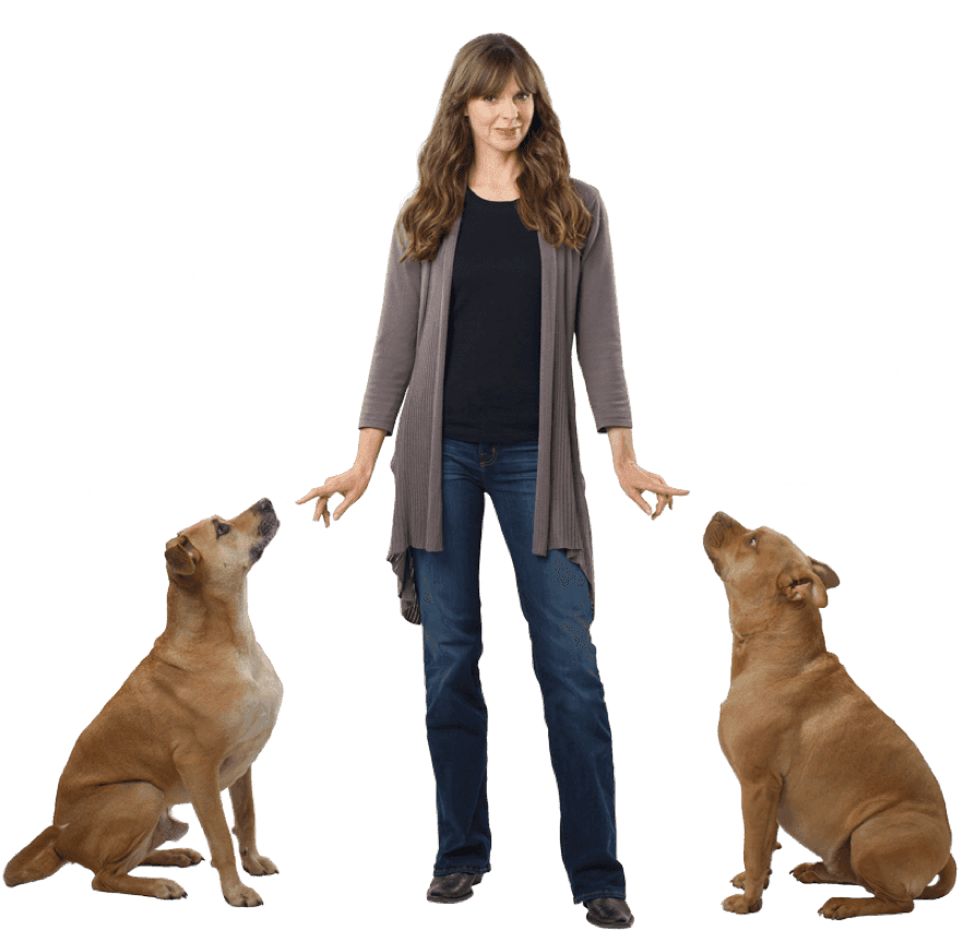 Explore Dog Training